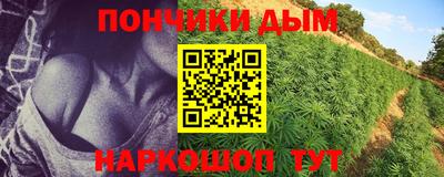 спайс Тара
