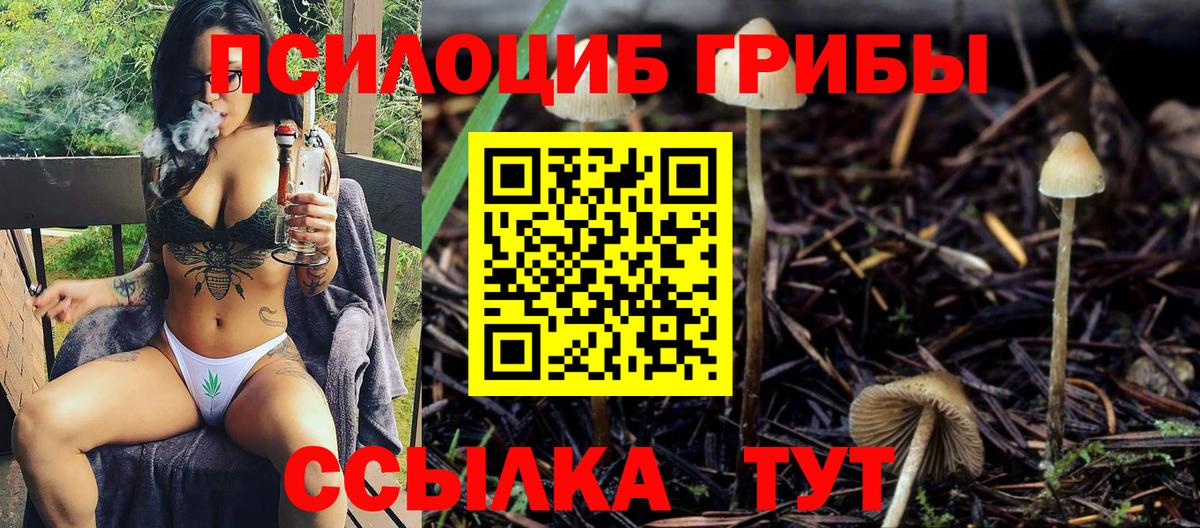 Можайск  цены   Вход с VPN  Галлюциногенные грибы MAGIC MUSHROOMS 